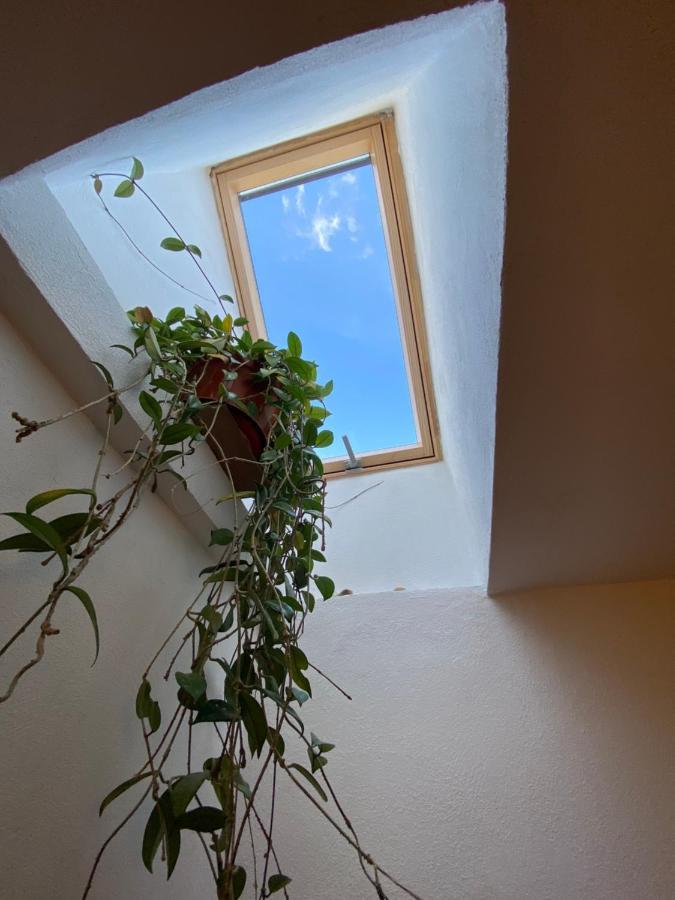 Casa Mili 호텔 Grinties 외부 사진