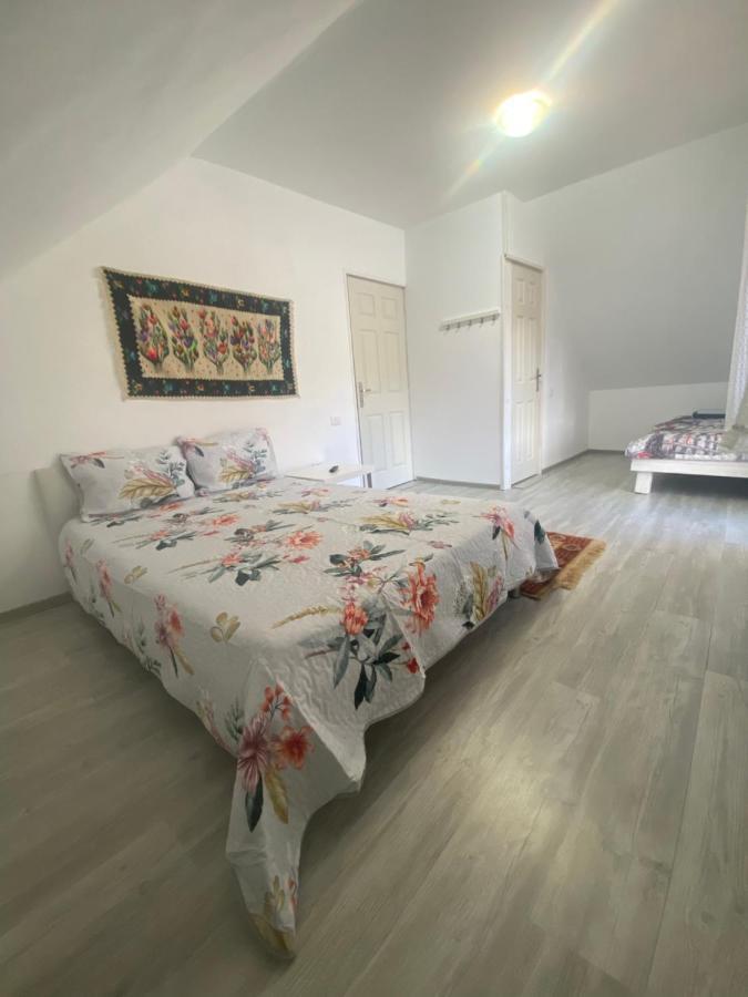 Casa Mili 호텔 Grinties 외부 사진
