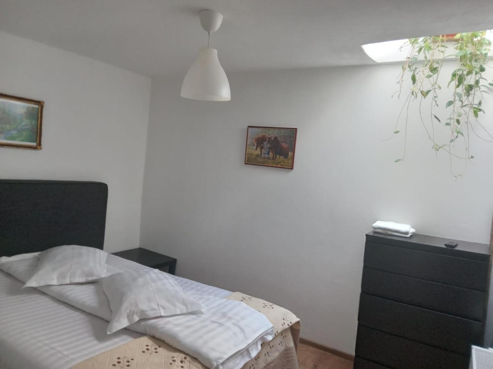 Casa Mili 호텔 Grinties 외부 사진